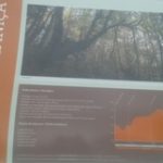 Rota da Caniça – Percurso Pedestre em Pleno Parque Natural Serra da Estrela